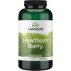 imageSwanson Hawthorn Berry  Antioxidant Circulation Support 250 Capsules 565 mg Each250 Count Pack of 1