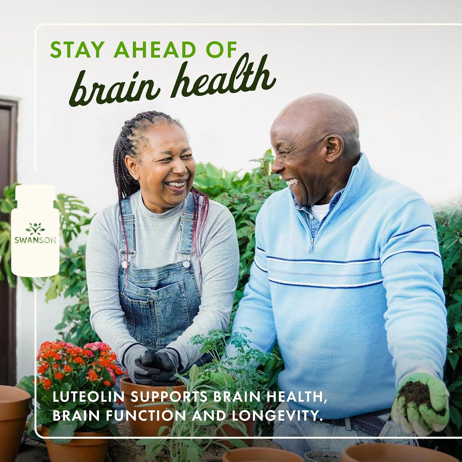 imageSwanson Luteolin Complex wRutin Brain Support Supplement Promoting Memory Mood amp Cognitive Health Natural Formula to Help Maintain Nervous System 30 Veggie Capsules1