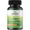 imageSwanson Bacillus Coagulans  Natural Probiotic Supplement Supporting Digestive Health w 6 Billion CFU  May Support GI amp Overall Gut Health  60 Veggie Capsules60 Count Pack of 1