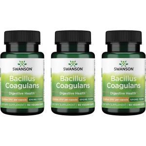 Swanson Bacillus Coagulans – Natural Probiotic Supplement Supporting Digestive Health w/ 6 Billion CFU – May Support GI & Overall Gut Health – (60 Veggie Capsules)(60 Count (Pack of 3))