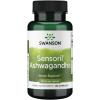 imageSwanson UL SENSORIL ASHWAGANDHA 125MG 120CAP