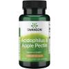 imageSwanson Acidophilus amp Apple Pectin 90 Capsules