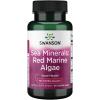 imageSwanson Aquamin Sea Minerals Red Mineral Algae 60 Veg Capsules