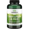 imageSwanson Chlorophyllin amp Mint 500 Chwbls