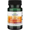 imageSwanson Supplemelts Vitamin B12 1000 mcg 60 Chwbls