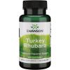 imageSwanson Turkey Rhubarb  Traditional Herbal Supplement Promoting Digestive Support amp Gastrointestinal Health  Natural Formula  100 Capsules 500mg Each