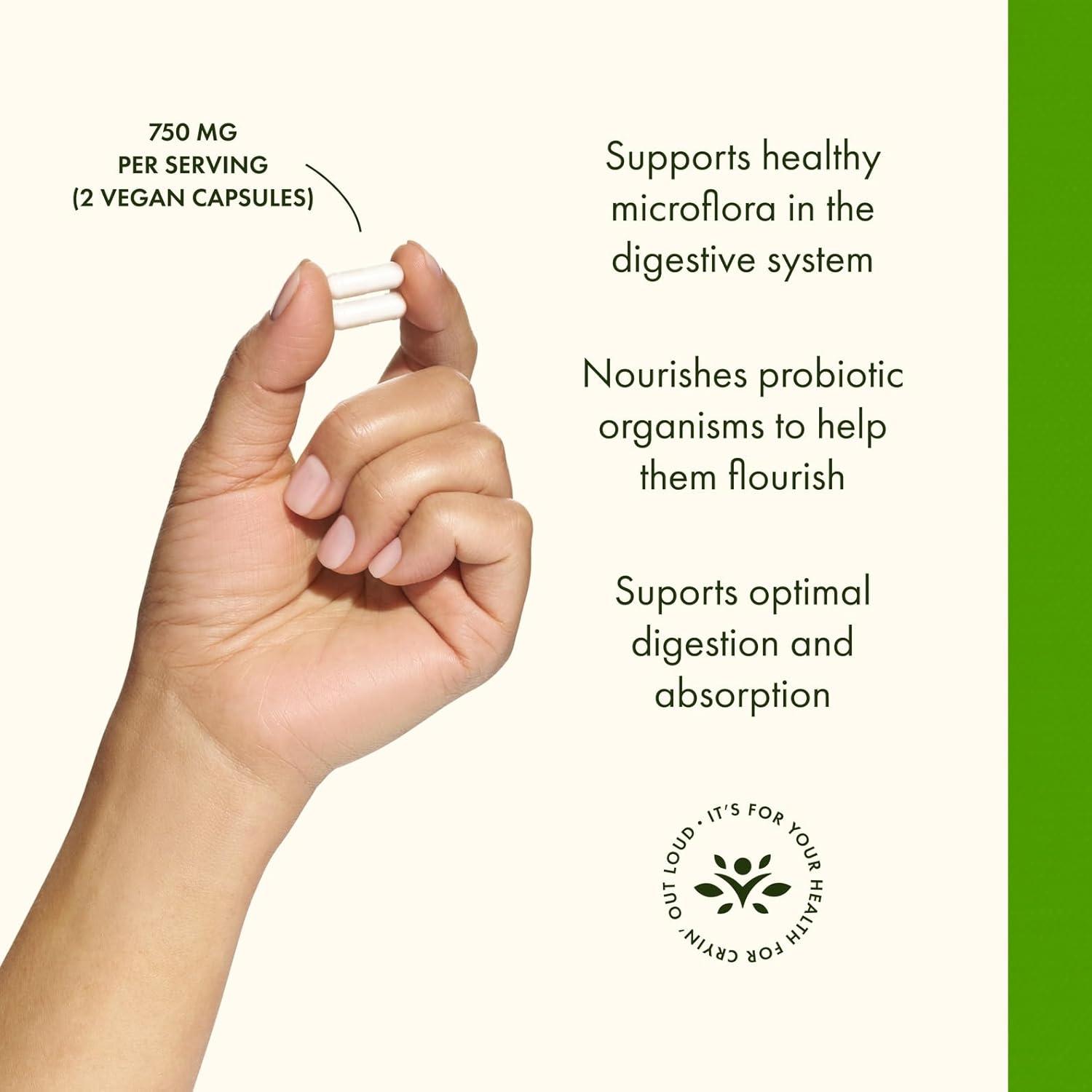 imageSwanson Prebiotic Capsules Promotes Friendly Flora Support amp Overall Digestive Health Prebiotic Fiber Promoting Gut Health amp Immune Health Support 120 Veggie Capsules 750mg Each 4 Pack